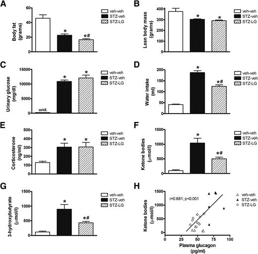 Figure 2. Normalization of hyperglucagonemia with the GLP-1 receptor agonist liraglutide attenuates ketosis in uDM. Body fat (A), lean body mass (B), urinary glucose (C), daily water intake (D), plasma corticosterone (E) and total ketone body levels (AcAc and 3-HB) (F), 3-HB levels alone (G), and the correlation between total ketone body levels and plasma glucagon levels (H) in nondiabetic controls (veh-veh) or in STZ-induced diabetic animals receiving subcutaneous injections of either vehicle (PBS, pH 7.4; STZ-veh) or the synthetic GLP-1 receptor agonist liraglutide (STZ-LG), in an escalating dose manner up to 300 μg/kg (n = 8–10 per group). Data represent mean ± SEM. *P < 0.05 vs. veh-veh; #P < 0.05 vs. STZ-veh. und., undetectable.