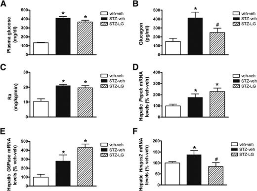 Figure 3. Normalization of hyperglucagonemia with the GLP-1 receptor agonist liraglutide fails to suppress increased Ra or hepatic gluconeogenic gene expression in uDM. Five hour–fasted plasma glucose (A) and glucagon levels (B); Ra, as determined from [3-3H] glucose tracer studies during a basal clamp (C); as well as hepatic expression of the gluconeogenic genes phosphoenolpyruvate carboxykinase (Pepck) (D) and glucose-6-phosphatase (G6Pase) (E) and the ketogenic gene mitochondrial HMG-CoA synthase (Hmgcs2) (F) using real-time PCR in STZ-induced diabetic animals receiving subcutaneous injections of either vehicle (PBS, pH 7.4; STZ-veh) or the synthetic GLP-1 receptor agonist liraglutide (STZ-LG), in an escalating dose manner up to 300 μg/kg (n = 6–8 per group). Data represent mean ± SEM. *P < 0.05 vs. veh-veh; #P < 0.05 vs. STZ-veh. Veh-veh, nondiabetic controls.