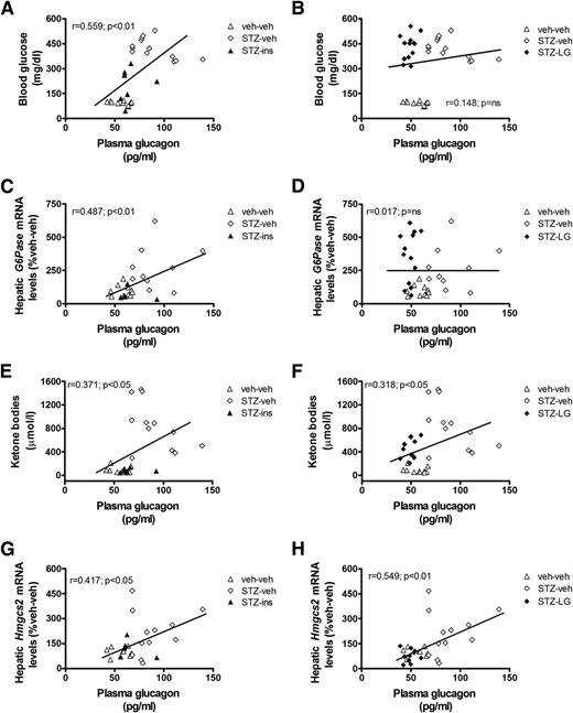 Figure 6. Effect of liraglutide and insulin on the relationship between plasma glucagon and glycemia and ketosis. Correlation between plasma glucagon and blood glucose (A and B), hepatic expression of glucose-6-phosphatase (G6Pase) (C and D), ketone body levels (E and F), and hepatic expression of mitochondrial HMG-CoA synthase (Hmgcs2) (G and H) in nondiabetic (veh-veh) and STZ-DM animals that received vehicle (STZ-veh) and STZ-DM animals that received either insulin (STZ-ins) or the synthetic GLP-1 receptor agonist liraglutide (STZ-LG).