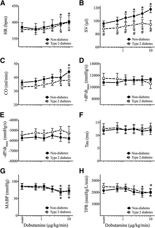 Figure 3. Preserved hemodynamic responses to β-AR stimulation in vivo in type 2 diabetic ZDF rats. In both the nondiabetic (closed circles) and type 2 diabetic (open circles) ZDF rats, incremental doses of β-AR agonist (dobutamine) resulted in an increase in HR (A), SV (B), and CO (C) compared with saline injection. No changes in the cardiac contractile parameter speed of contraction (+dP/dtmax) (D), the relaxation parameters speed of relaxation (−dP/dtmax) (E), and Tau (F) were observed compared with saline injection, whereas the MABP (G) and the calculated total peripheral resistance (TPR) (H) both decreased with β-AR agonist stimulation compared with saline injection. The type 2 diabetic rats only had a lower SV compared with the nondiabetic animals. *Significant vs. saline (baseline), #significant vs. nondiabetes, both P < 0.05, two-way repeated-measures ANOVA; n = 7 per group. Data are presented as the mean ± SEM.