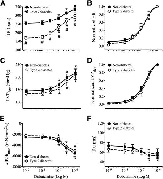 Figure 4. Altered chronotropic but preserved inotropic and lusitropic β-AR responsiveness in unpaced isolated type 2 diabetic ZDF hearts. A: Unpaced isolated type 2 diabetic hearts (open circles) required a higher β-AR agonist (dobutamine) concentration to achieve a given absolute HR compared with nondiabetic hearts (closed circles). B: However, after normalization, the HR response was not different between the groups. LVPdev increased with β-AR agonist stimulation in both groups, but showed no difference between nondiabetic and type 2 diabetic hearts (C), even after normalization (D). Both nondiabetic and type 2 diabetic hearts showed increased speed of early relaxation (−dP/dtmax) (E) and a faster late Tau (F) due to β-adrenergic stimulation. Thus, there was altered chronotropic but preserved inotropic and lusitropic β-AR responsiveness in unpaced isolated hearts of 20-week-old male type 2 diabetic ZDF rats. *P < 0.05 vs. baseline, #P < 0.05 vs. nondiabetes, two-way repeated-measures ANOVA; n = 7 per group. For normalization, data were fitted with a four-parameter sigmoidal dose-response curve with a variable slope. Data are presented as the mean ± SEM.
