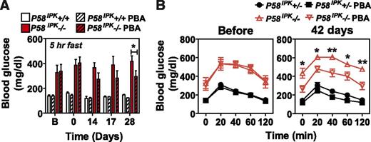 Figure 4. Chemical chaperone treatment preserves β-cell function in P58IPK−/− mice. P58IPK+/+ and P58IPK−/− mice aged 22–26 weeks were treated intraperitoneally with saline or PBA (500 mg/kg body weight/day) for the indicated durations. Blood glucose was measured after a 5-h fast (A) and GTTs were performed before and after treatment with PBA for 42 days (B) (n = 4 or 5 mice per group). Significant differences between P58IPK−/− mice treated with saline or PBA are shown. *P < 0.05; **P < 0.01. Significance was shown between P58IPK−/− and P58IPK−/− with PBA treatment.