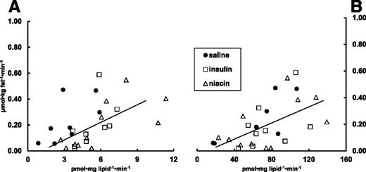 Figure 3. The relationship (r = 0.63, P = 0.003) between DGAT activity and direct palmitate storage rates in femoral adipose tissue for the niacin and insulin groups is shown in A. These same data from the saline control group are also provided. The regression line is for the insulin and niacin groups only. The relationship (r = 0.53, P = 0.02) between ACS activity and direct palmitate storage rates in femoral adipose tissue for the combined groups (same symbols) is shown in B; the regression line is for the insulin and niacin groups only. The data from the saline control group are also depicted.