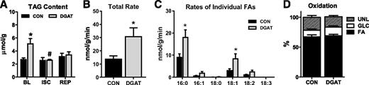 Figure 4. Increased TAG turnover during reperfusion in MHC-DGAT1 hearts. A: TAG content measured in lipid extracts from perfused hearts freeze-clamped at the end of baseline (BL), ischemia (ISC), or reperfusion (REP) (n = 3–8 per group at each time point). B: Total incorporation rate of LCFAs into the TAG pool during reperfusion (n = 6–7). C: Incorporation rates of the individual fatty acids into the TAG pool during reperfusion in isolated perfused hearts. Rates for palmitate (16:0), palmitoleate (16:1), stearate (18:0), oleate (18:1), linoleate (18:2), and linolenate (18:3) are shown (n = 6–7 for each). D: Percent oxidation of fatty acids (FA), glucose (GLC), and unlabeled substrates (UNL) (lactate, glycogen, and TAG) during reperfusion in extracts from isolated perfused hearts analyzed by 13C NMR spectroscopy (n = 6–7). *P < 0.05 vs. CON; #P < 0.05 vs. MHC-DGAT1 (DGAT) at BL.