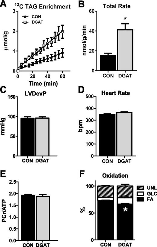 Figure 5. Effect of palmitate on TAG metabolism. A: Enrichment of 13C palmitate into the neutral lipid fraction in lipid extracts from isolated perfused hearts (n = 4 each group). B: Incorporation rate of 13C palmitate into the TAG pool in isolated perfused hearts (n = 7–9). C and D: LVDevP and heart rate measured in Langendorff isolated perfused hearts. Hearts were perfused with a mixed substrate buffer consisting of 5.5 mmol/L glucose, 0.4 mmol/L palmitate, 1.2 mmol/L lactate, and 50 μU/mL insulin (n = 31–32). E: PCr-to-ATP ratio (PCr/ATP) measured by 31P NMR spectroscopy in isolated perfused hearts (n = 10–12). F: Percent oxidation of fatty acids (FA), glucose (GLC), and unlabeled substrates (UNL) (lactate, glycogen, and TAG) in extracts from isolated perfused hearts analyzed by 13C NMR spectroscopy (n = 3 each group). *P < 0.05 vs. CON.