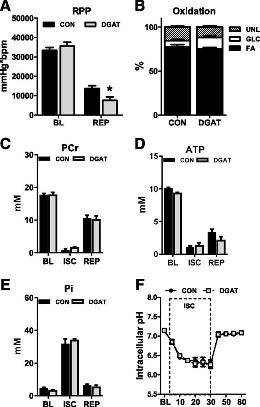 Figure 6. Palmitate impairs functional recovery in MHC-DGAT1 hearts. A: RPP measured at the end of baseline equilibration (BL) and at the end of reperfusion (REP) in isolated perfused hearts from CON and MHC-DGAT1 (DGAT) hearts. Hearts were perfused with a mixed substrate buffer consisting of 5.5 mmol/L glucose, 0.4 mmol/L palmitate, 1.2 mmol/L lactate, and 50 μU/mL insulin during the entire protocol (n = 7 each group). B: Percent oxidation of fatty acids (FA), glucose (GLC), and unlabeled substrates (UNL) (lactate, glycogen, and TAG) during reperfusion in extracts from isolated perfused hearts analyzed by 13C NMR spectroscopy (n = 3–4). C–E: PCr, ATP, and Pi content measured with 31P NMR spectroscopy in isolated perfused hearts at the end of baseline equilibration, end of ischemia (ISC), and end of reperfusion (n = 4 each group at each time point). F: Intracellular pH assessed by 31P NMR spectroscopy in isolated perfused hearts, calculated by the chemical shift between Pi and PCr (n = 4 each group). *P < 0.05 vs. CON.