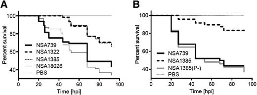 Figure 1. Virulence of the different S. aureus strains in zebrafish embryos. A: Survival curves of zebrafish embryos after infection with two infecting (NSA739 and NSA18026) and two colonizing (NSA1385 and NSA1322) strains. B: Survival curves of zebrafish embryos after infection with NSA739, NSA1385, and NSA1385(P−) strains. hpi, hours post-infection.