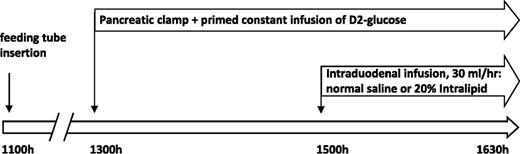 Figure 1. Study outline. Each participant underwent two studies (identical except for the intraduodenal infusion of Intralipid in one and an equal volume of normal saline in the other), in random order, 4–6 weeks apart. During each study, after an overnight fast, a feeding tube was inserted into the first part of the duodenum at 1100 h. A pancreatic clamp and infusion of deuterated glucose were started at 1300 h. At 1500 h, either 20% Intralipid or normal saline was infused into the duodenum at the rate of 30 mL/h for 90 min.