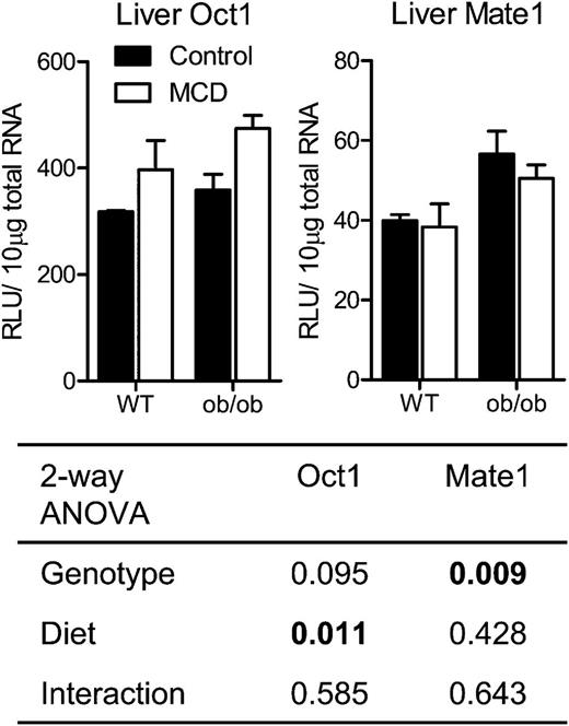 Figure 5. Hepatic transporter mRNA expression. Oct1 and Mate1 mRNA expression in the livers of WT or ob/ob mice fed either a control diet or MCD diet. Data represent mean ± SEM. Boldface values in the table indicate P < 0.05. Control, n = 4; MCD, n = 4; ob/control, n = 5; ob/MCD, n = 4. Black bars, control diet; white bars, MCD diet. RLU = relative light units.