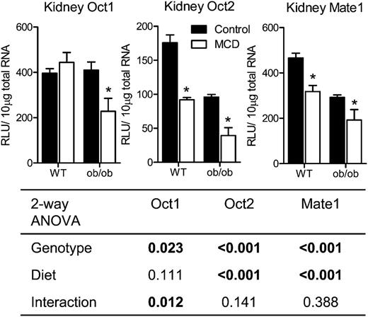Figure 6. Kidney transporter mRNA expression is altered in diseased mice. Oct1, Oct2, and Mate1 mRNA expression in the kidneys of WT or ob/ob mice fed either a control diet or MCD diet. Data represent mean ± SEM. Boldface values in the table indicate P < 0.05. Control, n = 4; MCD, n = 4; ob/control, n = 5; ob/MCD, n = 4. *P value < 0.05 according to a two-way ANOVA Bonferroni multiple comparison posttest. Black bars, control diet; white bars, MCD diet. RLU = relative light units.