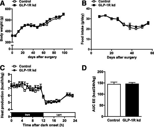 Figure 2. VAN GLP-1Rs are not required for normal body weight, daily food intake, and energy expenditure. (A) Body weight [n = 11/11; ANOVA, group F(1,20) = 0.26, not statistically significant (ns)] and (B) daily food intake [n = 11/11; ANOVA, group F(1,20) = 1.10, ns] of control and GLP-1R kd rats maintained on chow after surgical injection. (C) Twenty-four hour time course [n = 8/7; ANOVA, group F(1,13) = 0.08, ns] and (D) cumulative energy expenditure (EE) (n = 8/7; Student t test, ns) in control and GLP-1R kd rats fed ad libitum with chow. AUC, area under the curve.