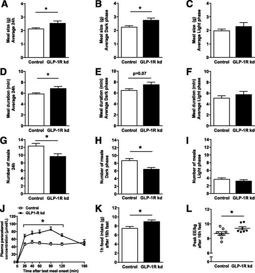 Figure 3. VAN GLP-1Rs controlled the size and the gastric emptying of a meal. Average meal size (A) over 24 h, (B) 12-h dark phase and (C) 12-h light phase (n = 8/7; Student t tests, respectively, P < 0.05, P < 0.05, not statistically significant [ns]) in ad libitum–fed control and GLP-1R kd rats. Average meal duration (D) over 24 h, (E) 12-h dark phase, and (F) 12-h light phase (n = 8/7; Student t tests, respectively, P < 0.05, P = 0.07, ns) in ad libitum–fed control and GLP-1R kd rats. Number of meals (G) in 24 h, (H) 12-h dark phase, and (I) 12-h light phase (n = 8/7; Student t tests, respectively, P < 0.05, P < 0.01, ns) in ad libitum–fed control and GLP-1R kd rats. (J) Plasma paracetamol concentrations of control and GLP-1R kd rats after a 4-g powdered chow test meal containing 1% paracetamol (wt/wt) [n = 9/9; ANOVA, group F(1,16) = 17.98, P < 0.0001; group × time F(6,96) = 4.71, P < 0.0001]. (K) Food intake (n = 10/10; Student t test, P < 0.05) and (L) peak of energy expenditure (EE) in the first hour of ad libitum refeeding with chow after a 16-h fast (n = 8/7; Mann-Whitney U test, P < 0.05). *Significant difference between the control and GLP-1R kd groups (P < 0.05).