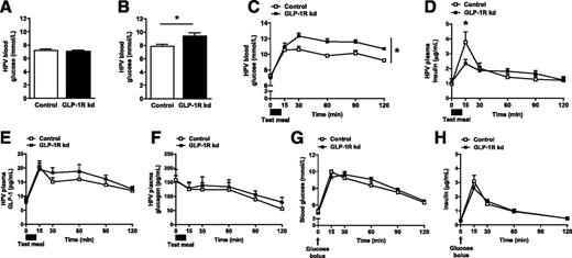 Figure 5. VAN GLP-1R kd disturbed postmeal glycemia and insulinemia but did not impair tolerance of an oral glucose bolus. HPV glucose (A) after an overnight fast (n = 8/8; Student t test, not statistically significant [ns]) or (B) 2 h after food deprivation of ad libitum–fed animals (n = 6/6; Student t test, P < 0.05). HPV (C) blood glucose [n = 8/8; ANOVA; group F(1,14) = 28.4, P < 0.0001; group × time F(5,70) = 3.440, P < 0.01], (D) plasma insulin [n = 8/8; ANOVA; group F(1,14) = 0.012, ns; group × time F(5,70) = 2.90, P < 0.05], (E) GLP-1 [n = 8/8; ANOVA; group F(1,14) = 0.73, ns; group × time F(5,70) = 0.68, ns], and (F) glucagon [n = 8/8; ANOVA; group F(1,14) = 0.13, ns; group × time F(5,70) = 0.29, ns] after a chow test meal. Tail vein (G) blood glucose [n = 7/7; ANOVA; group F(1,12) = 0.30, ns; group × time F(6,72) = 1.29, ns] and (H) plasma insulin [n = 7/7; ANOVA; group F(1,12) = 0.16, ns; group × time F(4,48) = 1.12, ns] after an OGTT (2 g/kg). *Significant difference between the control and GLP-1R kd groups (P < 0.05).