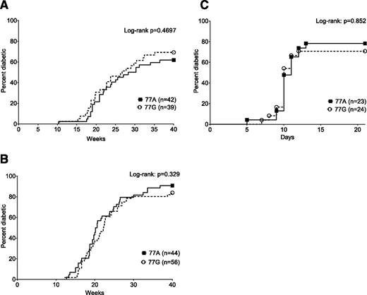 Figure 3. Spontaneous and induced diabetes incidence is not affected by increased expression of liCTLA-4. Spontaneous diabetes incidence in female mice of the initial cohort (A) and the backcrossed cohort (B) was determined through weekly urine glucose measurements. No significant difference in spontaneous incidence was found in either cohort (Log-rank, A: P = 0.4697, B: P = 0.329). C: In 12-week-old male mice, diabetes was induced by a single injection of 250 mg/kg CTX. Urine glucose measurements were taken daily for 3 weeks. No significant difference in induced incidence was found (Log-rank, P = 0.8646). In all incidence studies, mice with two consecutive readings of >28 mmol/L glucose in the urine were considered diabetic. Numbers of animals are shown. A and B show both replicates, and data in C are pooled from two experiments.