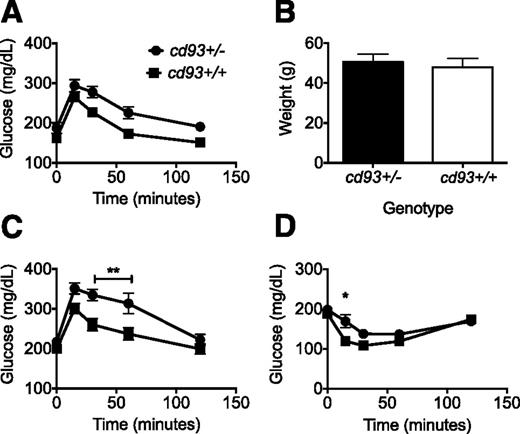 Figure 2. Glucose metabolism of cd93+/− male mice compared with cd93+/+ male mice (black dots and black squares, respectively). A: Glucose tolerance test of cd93+/− and cd93+/+ male mice (n = 10–13), 4 months of age, before being fed a Western diet. B: Weight of cd93+/− and cd93+/+ male mice (n = 9–12, respectively) after 16 weeks of eating a Western diet. C: Glucose tolerance test of cd93+/− and cd93+/+ male mice (n = 9–12, respectively) after 16 weeks of eating a Western diet. D: Insulin tolerance test of cd93+/− and cd93+/+ male mice (n = 9–11 respectively) after 16 weeks of eating Western diet. Repeated-measures two-way ANOVA showed statistical significance for C and D with **P ≤ 0.01 or *P ≤ 0.05 statistical significance at a particular time point/s between genotypes using post hoc analysis of Šidák multiple-comparisons test. The error bar indicates SEM.