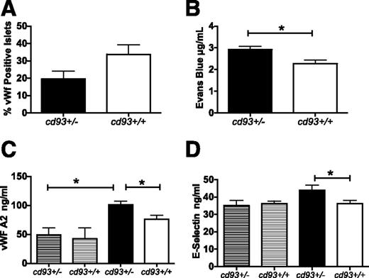 Figure 4. Vascular integrity and endothelial damage in cd93+/+ and cd93+/− mice. A: Percentage of VWF-positive islets in pancreata from mice fed for 16 weeks with a Western diet (four of each genotype). B: Quantification of Evans Blue dye in pancreata in cd93+/− and cd93+/+ mice (four of each genotype; black and white bars, respectively). *P ≤ 0.05, Student t test. C: Plasma levels of soluble VWF A2 in cd93+/− and cd93+/+ mice that were fed for 16 weeks with a Western diet (black and white bars, respectively) or a chow diet (dark and light hashed bars, respectively), n = 9–11 per genotype, *P ≤ 0.05, one-way ANOVA, using Tukey multiple-comparison test between genotypes and diet. D: Plasma levels of e-selectin in cd93+/− and cd93+/+ mice that were fed for 16 weeks with a Western diet (black and white bars, respectively) or a chow diet (dark and light hashed bars, respectively), n = 9–11 per genotype. *P ≤ 0.05 Student t test. All error bars indicate the SEM.