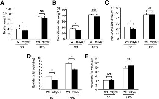 Figure 3. Site-specific fat weight in male Ppargmkyo/+ rats and their WT littermates fed a standard diet (SD) or high-fat diet (HFD). A–C: Weight of total fat, subcutaneous fat, and intra-abdominal fat measured by whole-body CT scan. D and E: Weight of epididymal fat and mesenteric fat measured directly. Data are mean ± SEM (n = 10/group). *P < 0.05, **P < 0.01 by Student t test. NS, not significant.