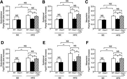 Figure 8. Pparg and Fsp27 mRNA expressions in fat tissues in male Ppargmkyo/+ rats and their WT littermates fed a standard diet (SD) or high-fat diet (HFD). A–F: Pparg and Fsp27 mRNA expressions in subcutaneous (A and D), epididymal (B and E), and mesenteric (C and F) fats. Ppargmkyo/+ rats fed HFD were treated with pioglitazone (Pio) or vehicle. mRNA expression levels were normalized by 18S rRNA. The fold change is relative to WT rats fed SD. Data are mean ± SEM (n = 5/group). **P < 0.01 by Student t test. NS, not significant.