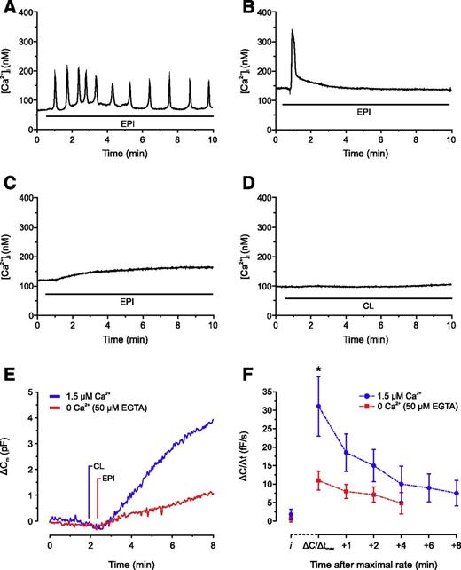 Figure 3. A–F: Catecholamine-induced elevations of [Ca2+]i play a minor role in adrenergically stimulated adiponectin exocytosis. A–C: Example traces of typical [Ca2+]i responses in cells exposed to epinephrine (EPI). Note the heterogeneity of [Ca2+]i elevations. D: Trace showing the lack of effect of CL on [Ca2+]i. E: Example traces of ΔCm for cells dialyzed with cAMP-free solutions. CL and EPI were added at time points indicated by the lines in the presence of 1.5 μmol/L free Ca2+ (blue) and 50 μmol/L intracellular EGTA (red). F: Average ΔC/Δt analyzed at different time points, as indicated. ΔC/Δtmax was achieved 1.0 ± 0.2 min after the addition of EPI and 1.8 ± 0.3 min after the addition of CL. Recordings in A–C are representative of 17 separate experiments and 472 individually analyzed cells. Data in D are from six separate recordings and 128 analyzed cells. Results in F represent eight recordings (1.5 μmol/L Ca2+) and 6 recordings (50 μmol/L EGTA). *P < 0.05.