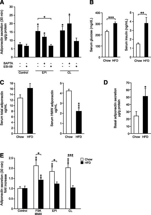 Figure 4. A–E: Adrenergically/cAMP-stimulated adiponectin secretion in adipocytes from lean and obese/type 2 diabetic mice. A: Effects of pretreatment with BAPTA (50 μmol/L) or Epac antagonist ESI-09 (10 μmol/L) for 30 min on adrenergic stimulation of adiponectin secretion with epinephrine (EPI) or CL in primary mouse IWAT adipocytes during 30-min incubations. B: Serum glucose (left) and insulin (right) levels in chow-fed and HFD-fed mice. C: Total (left) and HMW (right) serum adiponectin levels in chow-fed and HFD-fed animals. D: Basal (5 mmol/L glucose) adiponectin secretion from primary subcutaneous adipocytes from mice fed chow or HFD for 8 weeks. E: Adiponectin secretion in primary subcutaneous adipocytes from chow-fed or HFD-fed mice during 30-min incubations in the presence of FSK/IBMX, EPI, or CL. Data in A represent nine experiments with adipocytes isolated from three animals. Data in B–E are from 10–11 chow-fed or HFD-fed animals. *P < 0.05; **P < 0.01; ***P < 0.001 vs. control.