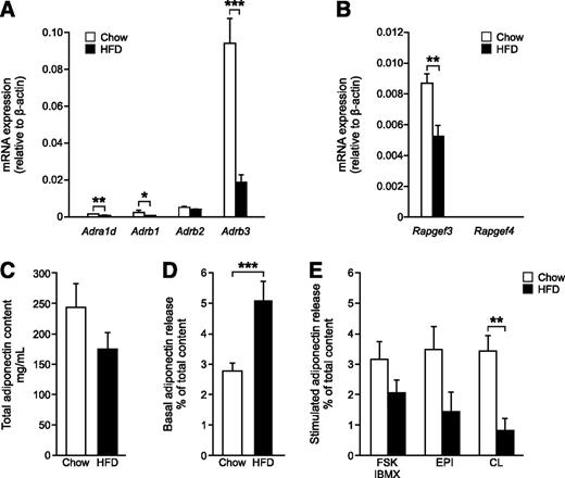 Figure 5. A–E: Mechanisms underlying the blunted adiponectin secretion in adipocytes from obese/type 2 diabetic mice. A and B: Quantitative RT-PCR gene expression analysis in adipocytes isolated from chow-fed or HFD-fed mice. Epac2 was not detected. C: Total adiponectin content (present in the cell lysate) in subcutaneous adipocytes. The amount of released adiponectin expressed as a percentage of total adiponectin content under basal (D) and stimulated (E) conditions. The percentage of released adiponectin in E is significantly higher compared with basal levels (D) upon stimulation with FSK/IBMX (P = 0.002), epinephrine (EPI) (P = 0.004), and CL (P = 0.0002) in chow adipocytes and in HFD adipocytes after treatment with FSK/IBMX (P = 0.02). Data in A and B are from five (chow-fed) and four (HFD-fed) animals. Results in C represent 20–22 experiments, and data in D and E are from eight chow-fed and eight HFD-fed animals. *P < 0.05; **P < 0.01; ***P < 0.001.