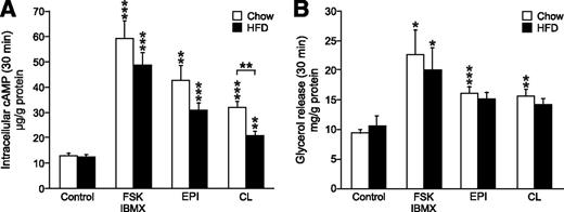 Figure 6. A and B: Intracellular cAMP levels and lipolysis in adipocytes from chow-fed and HFD-fed mice. A: Levels of cAMP in chow or HFD subcutaneous adipocytes during 30-min incubations in the presence of FSK/IBMX, epinephrine (EPI), or CL. B: Lipolysis measured as glycerol release in chow and HFD adipocytes (30 min). Data in A and B are from six chow-fed and six HFD-fed animals. *P < 0.05; **P < 0.01; ***P < 0.001.