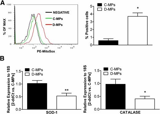 Figure 5. Analysis of pericyte redox status. A: MPs were stained with 5 µmol/L MitoSox and read on a FACSCanto II flow cytometer in the PE channel. Data are quantified in the bar graph. Values are expressed as the mean ± SEM of percentages of positive populations. Sample size n = 4. *P < 0.05 vs. C-MPs. B: Transcriptional analysis of the antioxidant genes SOD-1 and catalase. Values are expressed as the mean ± SEM of five experiments. *P < 0.05 vs. C-MPs; **P < 0.01. PE, phycoerythrin.