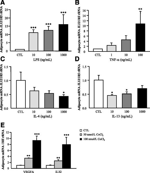 Figure 3. Effects of inflammation-related factors and hypoxia in IL32 gene expression levels in human visceral adipocytes. Bar graphs show the effect of LPS (A), TNF-α (B), IL-4, (C), IL-13 (D), and CoCl2 (E) incubated for 24 h on the transcript levels of IL32 in human differentiated omental adipocytes. Gene expression levels in unstimulated cells were assumed to be 1. Values are the mean ± SEM (n = 6/group). Differences between groups were analyzed by one-way ANOVA followed by Tukey tests. *P < 0.05, **P < 0.01, ***P < 0.001 vs. unstimulated cells. CTL, control.