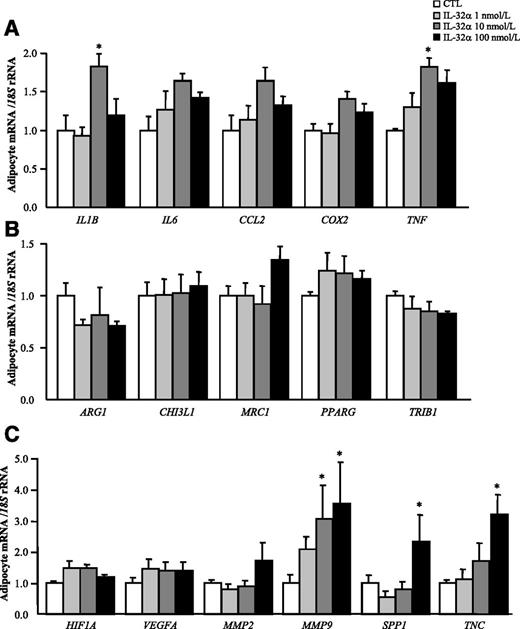 Figure 4. Effect of IL-32α treatment in human visceral adipocytes in the expression of inflammatory and ECM remodeling markers. Gene expression levels of proinflammatory (A) and anti-inflammatory (B) markers as well as ECM remodeling–related molecules (C) in human visceral adipocytes stimulated with recombinant IL-32α (1, 10, and 100 nmol/L) for 24 h. Gene expression levels in unstimulated cells were assumed to be 1. Values are the mean ± SEM (n = 6/group). Differences between groups were analyzed by one-way ANOVA followed by Tukey tests. *P < 0.05 vs. unstimulated cells. CTL, control.