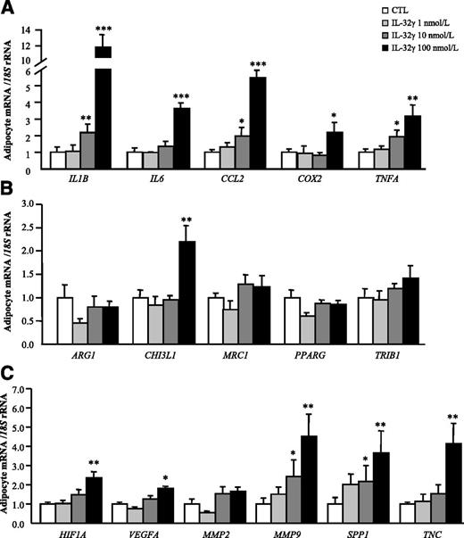 Figure 5. IL-32γ treatment induces the expression of inflammatory and ECM remodeling markers in human visceral adipocytes. Gene expression levels of proinflammatory (A) and anti-inflammatory (B) markers as well as ECM remodeling–related molecules (C) in human visceral adipocytes stimulated with recombinant IL-32γ (1, 10, and 100 nmol/L) for 24 h. Gene expression levels in unstimulated cells were assumed to be 1. Values are the mean ± SEM (n = 6/group). Differences between groups were analyzed by one-way ANOVA followed by Tukey tests. *P < 0.05, **P < 0.01, ***P < 0.001 vs. unstimulated cells. CTL, control.