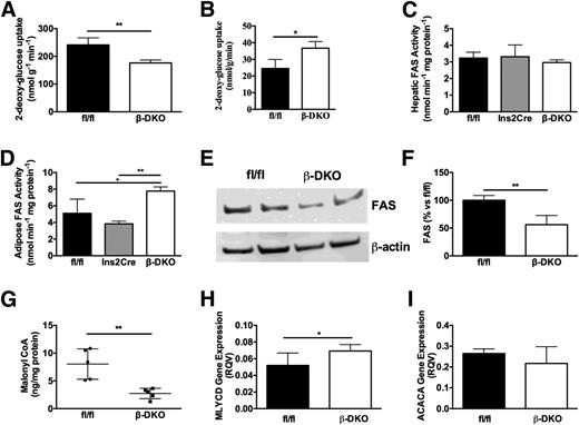 Figure 5. Impaired insulin secretion shifts glucose disposal from skeletal muscle to adipose tissue in β-DKO mice. Uptake of [3H]-2-deoxyglucose in muscle (A) and epididymal adipose tissue (B) in Abca1fl/flAbcg1fl/fl mice and β-DKO mice (n = 6/group). Fatty acid synthase (FAS) activity in isolated liver (C) and epididymal adipose tissue (D) in Abca1fl/flAbcg1fl/fl mice, Ins2Cre mice, and β-DKO mice (n = 6/group). FAS expression in Abca1fl/flAbcg1fl/fl and β-DKO mouse epididymal adipose tissue assessed by Western blotting (E) and quantification of FAS expression (F). G: Isolated adipocyte levels of malonyl-CoA levels were determined by ELISA. Mlycd (H) and Acaca (I) mRNA levels were determined by real-time PCR (n = 5/group). RQV, relative quantification value. Values represent mean ± SD. *P < 0.05; **P < 0.01.