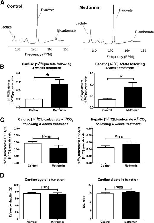 Figure 1. A: Representative spectra acquired from slabs covering the liver from control- and metformin-treated rats. Oral metformin treatment increases the hyperpolarized [1-13C]lactate:[1-13C]pyruvate ratio (B) but not [1-13C]bicarbonate + 13CO2:[1-13C]pyruvate ratio (C). D: Metformin did not change either systolic or diastolic cardiac function. LV, left ventricular; PPM, parts per million. Data are mean ± SEM. n = 6 per group. *P < 0.05.