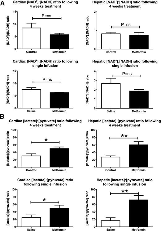 Figure 3. A: Neither oral metformin treatment nor a single metformin infusion changes the whole-cell [NAD+]/[NADH] ratio. B: Both oral metformin treatment and a single metformin infusion treatment increased the cellular [lactate]:[pyruvate] ratio, implying an increase in the cytosolic redox state. Data are mean ± SEM. n = 5–6 per group. *P < 0.05, **P < 0.01.