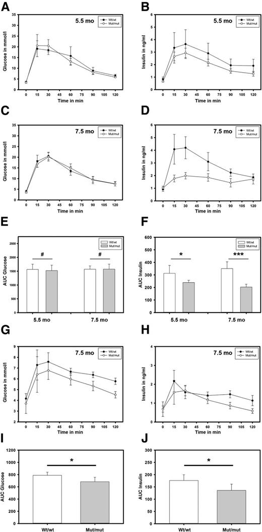 Figure 7. High circulating ghrelin levels attenuate GSIS in mut/mut rats. A and C: i.p.GTT (A and C) and oGTT (G) were performed, and plasma insulin was measured (B, D, and H). E, F, I, and J: The corresponding area under the curve (AUC) analysis results are presented. i.p.GTTs were performed at an age of 5.5 months (A and B) and 7.5 months (C and D). G and H: oGTTs were performed at 7.5 months. Plasma insulin levels were significantly reduced in mut/mut animals at both 5.5 and 7.5 months of age. Values represent the mean ± SEM of 8 rats in each group. #P > 0.05; *P ≤ 0.05; ***P ≤ 0.001. mo, months.