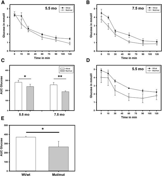 Figure 8. High circulating ghrelin levels may increase the insulin sensitivity in mut/mut rats. i.p.ITTs were performed at 5.5 (A and D) and 7.5 (B) months of age. C: Area under the curve (AUC) analysis corresponding to A and B is presented. D: i.p.ITT with a low-dose (0.375 IU/kg) insulin injection at 5.5 months of age. E: Area under the curve analysis corresponding to D is presented. Values represent the mean ± SEM of n ≥ 6 rats in each group. *P ≤ 0.05; **P ≤ 0.01. mo, months.