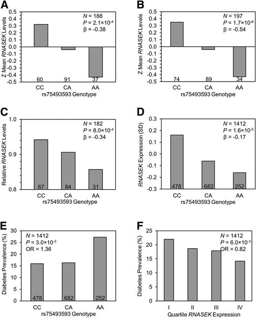 Figure 5. rs75493593-RNASEK eQTL results for the SWAI and FIND subjects, and diabetes prevalence based on rs75493593 genotypes and RNASEK expression for the FIND subjects. A: Exon microarray mean RNASEK expression levels based on rs75493593 genotypes for adipose tissue. B: Exon microarray mean RNASEK expression levels based on rs75493593 genotypes for skeletal muscle. C: RT-PCR association results for rs75493593 and mean RNASEK gene expression in adipose tissue. RT-PCR assays were done using the standard curve method. RNASEK mRNA expression levels were normalized with β-actin. P values were adjusted for age, sex, and American Indian heritage. D: Mean RNASEK expression in whole blood based on rs75493593 genotype. β is the mean difference in RNASEK expression and is shown in SD units per copy of the A allele. P value is adjusted for age, sex, and American Indian heritage. E: Diabetes prevalence based on rs75493593 genotype for the 1,412 American Indians from the FIND study. OR is expressed per copy of the A allele. P value is adjusted for age, sex, and American Indian heritage. F: Diabetes prevalence based on RNASEK expression quartiles. N ∼353 for each quartile. OR is expressed per SD of expression. P value adjusted for age, sex, American Indian heritage, and genotype.