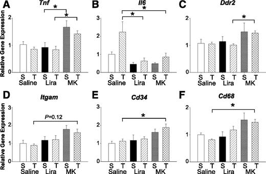 Figure 7. Levels of inflammatory markers are elevated in the hearts of dysglycemic C57BL/6J mice treated with MK-0626 (MK). Relative levels of ventricular mRNA of the inflammatory markers Tnf (A), Il6 (B), Ddr2 (C), Itgam (D), Cd34 (E), and Cd68 (F). All values are the mean ± SEM (n = 5 sham [S], n = 8–13 TAC [T] group). *P < 0.05. Lira, liraglutide.