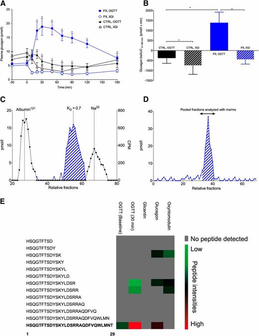 Figure 3. Plasma responses of glucagon (A) and glucagon expressed as baseline-subtracted AUC (bsAUC) (B) during 75-g OGTT and IIGI in totally pancreatectomized patients (PX) (n = 10) and healthy control subjects (CTRL) (n = 10). Gel chromatography of pooled plasma (C) from time point 30 min during the 75-g OGTT in the pancreatectomy group (n = 10) analyzed using a C-terminal–specific glucagon assay (blue) and quality calibrators (black). A single peak (blue hatched area) with similar coefficient of distribution (KD) to that of the glucagon calibrator control was identified. HPLC profile of pooled plasma (D) from fasting and from time point 30 min during the 75-g OGTT from the pancreatectomy group (n = 10), analyzed using a side-viewing glucagon assay (blue). The fractions containing glucagon-like peptides (blue hatched area) were subsequently pooled and subjected to tandem mass spectrometry–based proteomics (E). Peptide intensities (log2 transformed) are color coded from low (green) to high (red) concentration with a false discovery rate of <1%. The 29–amino acid sequence corresponding to that of glucagon is depicted in bold font. Data are mean ± SEM. Statistical analysis was performed by linear mixed effect modeling for analysis of repeated measures between days within groups, and two-sample Student t test (two-tailed), paired or unpaired, was used for analysis of bsAUC. Asterisks (*) indicate significant (P < 0.05) differences. CPM, counts per minute.