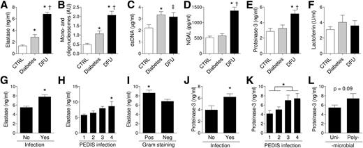 Figure 2. Circulating NETosis biomarkers in patients with DFU. A–F: Serum neutrophil elastase (A), mono- and oligonucleosomes (B), cell-free dsDNA (C), NGAL (D), proteinase-3 (E), and lactoferrin (F) concentrations in participants without diabetes (CTRL), with diabetes (Diabetes), and with DFU (post-ANOVA *P < 0.05 vs. CTRL; †P < 0.05 vs. Diabetes; ‡P = 0.07 vs. CTRL). G–I: Serum neutrophil elastase concentrations in relation to presence/absence of microbiologically proven infection (*P < 0.05 [G]), degree of infection according to the PEDIS classification (1, no symptoms/signs; 2, inflammation of the skin or subcutaneous tissue only; 3, extensive deeper erythema; 4, systemic inflammation response syndrome; *P < 0.05 grade 4 vs. grade 1; P for trend <0.05 [H]) and infection by Gram-positive or -negative bacteria (*P < 0.05 [I]). J–L: Serum proteinase-3 concentrations in relation to presence/absence of microbiologically proven infection (*P < 0.05 [J]), degree of infection according to the PEDIS classification (*P < 0.05 comparing degrees 3 and 4 with degrees 1 and 2 [K]), and in relation to the presence of polymicrobial vs. monomicrobial infection (L). AU, arbitrary units; Neg, negative; Pos, positive.