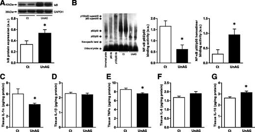 Figure 2. UnAG and skeletal muscle inflammation. Effects of UnAG (200 μg subcutaneous injection twice per day) vs. saline (Ct) sustained 4-day treatment on the expression of IκB (A), NF-κB binding activity (B) with representative blots, and tissue expression of IL-1α (C), IL-1β (D), TNF-α (E), IL-6 (F), and IL-10 (G) measured by xMAP technology in gastrocnemius muscle. Data are mean ± SEM (n = 8–10/group). *P < 0.05 vs. Ct. Ab, antibody; a.u., arbitrary units.