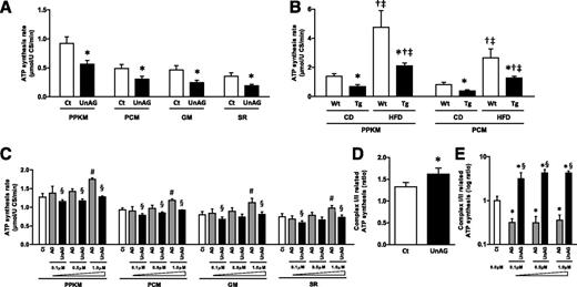 Figure 7. Impact of UnAG on mitochondrial ATP synthesis. Effects on muscle ATP synthesis rate with various respiratory substrates (PPKM, PCM, GM, and SR) (A) in isolated mitochondria from rat gastrocnemius muscle after UnAG (200 μg subcutaneous injection twice per day) vs. saline (Ct) sustained 4-day (n = 8–10/group) treatment in isolated mitochondria from gastrocnemius muscle of mice with UnAG upregulation (Tg Myh6/Ghrl [Tg]) vs. wild type (Wt) fed 16 weeks with control diet (CD) or HFD (n = 7/group) (B) and in C2C12 myotubes after 48-h incubation with increasing concentrations of AG or UnAG vs. Ct (n = 3/treatment) (C). Complex I– over complex II–related ATP synthesis rate ratio in rat gastrocnemius muscle after sustained treatment (D) and in cultured myotubes (E). Data are mean ± SEM. *P < 0.05 vs. Ct or Wt; †P < 0.05 vs. same genotype-CD; ‡P < 0.05 vs. other genotype-CD; §P < 0.05 vs. AG, same concentration; #P < 0.05 vs. all other groups. U CS, units of citrate synthase.