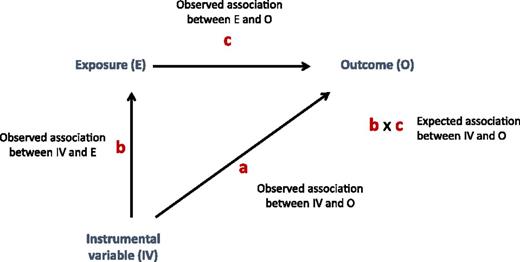 Figure 2. Triangulation approach for IV analyses used in this study. The observed association between the IV and the outcome (a) is compared with that expected given the association between the IV and the exposure (b) and the association between the exposure and the outcome (c).