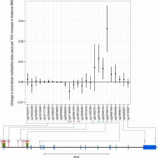 Figure 3. Associations between maternal BMI and offspring methylation at birth at HIF3A CpG sites. Associations of maternal BMI and offspring cord blood methylation at birth at all 25 CpG sites at the HIF3A locus (mean change in methylation per unit increase in log-maternal prepregnancy BMI; error bars indicate 95% CIs). The locations of CpG sites on the HIF3A gene are mapped on the diagram below the graph. Blue blocks are exons, gray blocks are introns, green blocks are CpG islands, and red pins are CpG sites. The three sites previously identified in adult peripheral blood as associated with own BMI are highlighted with a red *. All sites associated with maternal BMI with a P value <0.05 in our analyses are highlighted with a blue *.