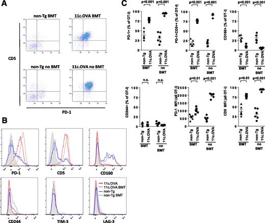 Figure 7. Residual inactivated OT-I Tmem exhibit a PD-1highCD5high phenotype. A–C: OT-I Tmem were transferred to non-Tg mice that were irradiated (300cGy) and injected intravenously with BM from non-Tg or 11c.OVA donors (BMT) 1 week later. Controls (no BMT) were non-Tg or 11c.OVA mice injected with Tm in parallel with BM transfer test mice. Four weeks after BM transfer, spleen cells were examined by flow cytometry. OT-I T cells were gated as CD45.1+CD8+Vα2+ lymphocyte-sized cells. Data are pooled from 2 experiments and show representative dot plots (A), histograms (B), or individual mice (C). Lines denote mean ± SEM (n = 6).
