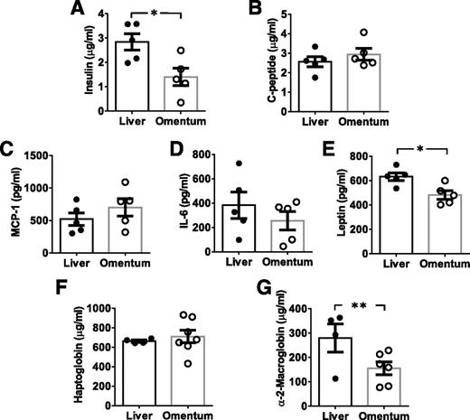 Figure 5. Biomarkers detected in the serum of rat recipients of intraomental biologic scaffold and intrahepatic syngeneic islets. Aliquots of 1,300 IEQ from the same syngeneic donor rat islet batch were transplanted in parallel either within the intraomental biologic scaffold (omentum [○]) or the intrahepatic site (liver [●]). Blood samples were collected from indwelling JVC for detection of biomarker levels in circulation. Data presented are mean ± SEM (n = 4–7 per time point). A and B: Metabolic markers assessed at 1 h posttransplant. A: Insulin in μg/mL (*P = 0.018). B: C-peptide in μg/mL. Inflammation markers assessed 24 h posttransplant: MCP-1/CCL2 in pg/mL (C), IL-6 in pg/mL (D), leptin in pg/mL (*P = 0.013) (E), haptoglobin in μg/mL (F), and α2-macroglobulin in μg/mL (**P < 0.03) (G).