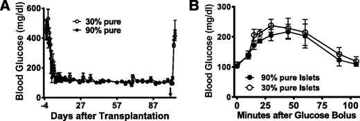 Figure 6. Intraomental transplantation of islets with high and low purity into diabetic rats. A: Nonfasting blood glucose levels in diabetic rats transplanted with clinically relevant mass of 2,000 IEQ syngeneic islets with >95% purity (n = 3) (167.3 ± 1.5 g body wt [11,853 ± 109 IEQ/kg]) or with 30% purity (n = 3) (170.3 ± 10.5 g body wt [11,771 ± 725 IEQ/kg]) onto the omentum. Removal of the omental graft >100 days after transplantation (arrowhead) resulted in return to hyperglycemia. B: Glycemic profile during oral glucose tolerance test performed in animals transplanted with high-purity and low-purity islet preparations 70 days after transplantation.