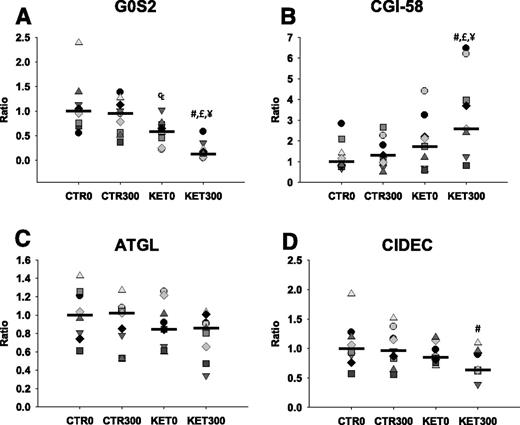 Figure 3. The intracellular G0S2 (A), CGI-58 (B), ATGL (C), and CIDEC (D) content of mRNA from adipose tissue biopsy specimens are shown for nine subjects during CTR at t = 0 min (CTR0) and 300 min (CTR300) and KET at t = 0 min (KET0) and 300 min (KET300). Two-way repeated-measures ANOVA and post hoc paired t test were used to test for a difference between the biopsy specimens. Data are shown as dot plots and ratios, and the median value of CTR0 as reference = 1. #P < 0.03, KET300 vs. CTR0; £P < 0.001, KET300 vs. CTR300; ¥P < 0.002, KET300 vs. KET0; ₠P < 0.05, KET0 vs. CTR0.