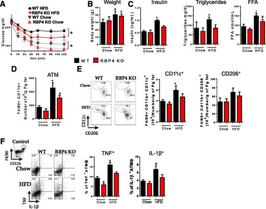 Figure 1. Deletion of RBP4 improves HFD-induced AT inflammation and insulin resistance. A: Insulin tolerance test. B: Body weight. C: Serum insulin, triglycerides, and FFA levels. D: AT macrophage numbers in perigonadal fat. E: Flow cytometry representation (left panel) and number (right panel) of CD11c+ and CD206+ AT macrophages. F: Flow cytometry representation (left panel) and percentage (right panel) of intracellularly stained TNF+ and IL-1β+ AT macrophages. (n = 8 mice/group.) Male mice, 18 weeks on HFD. Values are means ± SEM. *P < 0.05 vs. all other groups or as indicated. #P < 0.05 vs. chow-fed mice, same genotype. ATM, adipose tissue macrophage; Pg, perigonadal.