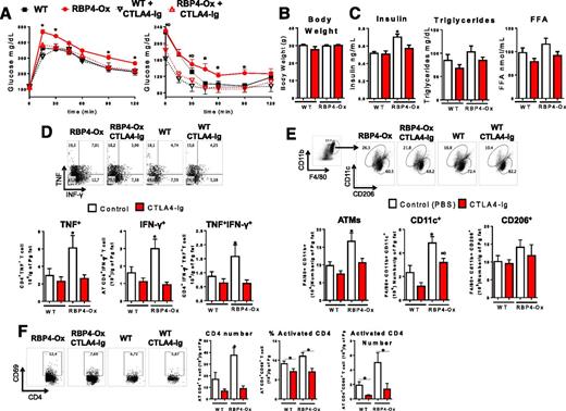 Figure 6. CTLA4-Ig treatment of RBP4-Ox mice reduces RBP4-induced AT inflammation and insulin resistance. RBP4-Ox mice were treated with CTLA4-Ig (intraperitoneally) 3 times a week for 6 weeks. A: Glucose tolerance test (left panel) and insulin tolerance test (right panel). Body weight (B) and serum insulin, triglycerides, and FFA (C). D: Flow cytometry representation of gated AT CD4 T cells intracellularly stained with IFN-γ and TNF (top panel). Number of CD4 T cells intracellularly stained for IFN-γ and TNF (bottom panel). E: Flow cytometry representation (top panel) and number (bottom panel) of total, CD11c+, and CD206+ AT macrophages. F: Flow cytometry representation (left panel) and number (right panel) of total CD4+ and CD4+CD69+ (activated) T cells. n = 10/group. Values are means ± SEM. *P < 0.05 vs. all other groups or as indicated. ∞P < 0.05 vs. chow-fed, same genotype.