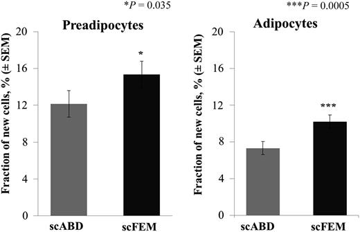 Figure 2. Preadipocytes and adipocytes have higher formation rates in the scFEM depot relative to the scABD. The least square means comparing the fraction of new preadipocytes and adipocytes were derived from the linear mixed model (n = 25). The difference in fraction of new preadipocytes between scFEM and scABD depots is 3.224 (P = 0.0354), and the difference in fraction of new adipocytes between scFEM and scABD depots is 2.877 (P = 0.0005). *P < 0.05; ***P < 0.01.